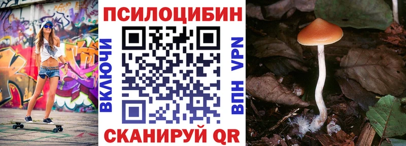 Галлюциногенные грибы Cubensis  Микунь 
